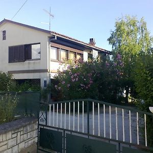 Guest House Jole